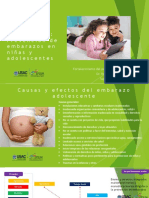 Proyecto de Convivencia Comunitaria - Prev Embarazos PDF