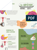 Folleto Díptico Taller de Reciclaje de Residuos Ecología Orgánico Verde