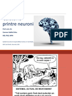 01.calatorie Printre Neuroni