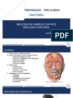 Músculos da Cabeça e Face