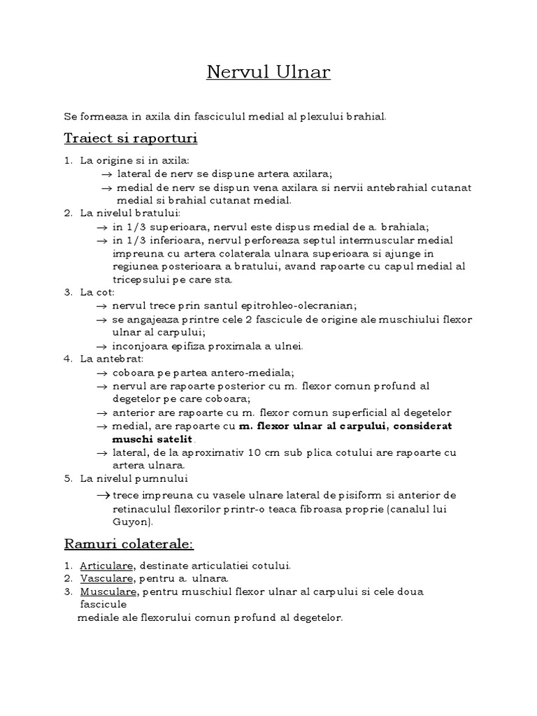 Nervul Ulnar | PDF
