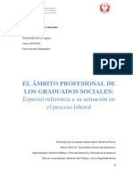 Ambito Profesional de Los Graduado Sociales Especial Referencia A Su Actuacion en El Proceso Laboral PDF