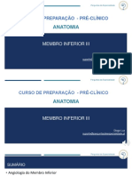 Anatomia do membro inferior