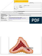 PLA Endo 7ma 1 PDF