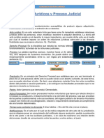 Actos Jurídicos y Proceso Judicial PDF