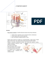 Tema 4. SNC I PDF