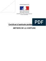 Annexes - CAP Metiers de La Coiffure190605 PDF