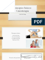 Principios Básicos Cinesiterapia PDF