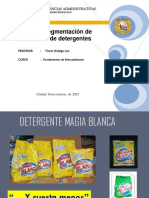 Segmentacion de Detergentes PDF