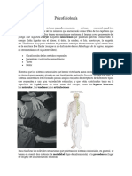 6 Somestesia PDF