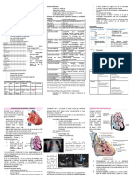 Factores de riesgo y clasificación de cardiopatías congénitas