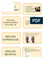 Flashcards Neuro