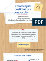 Agentes Fisicos I PDF