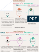 Gestión Ambiental - Infografia PDF