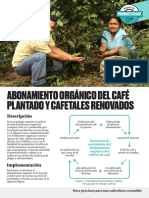 Fot7 - Abonamiento Organico Del Cafe