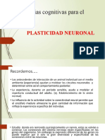 Plasticidad Neuronal.pptx