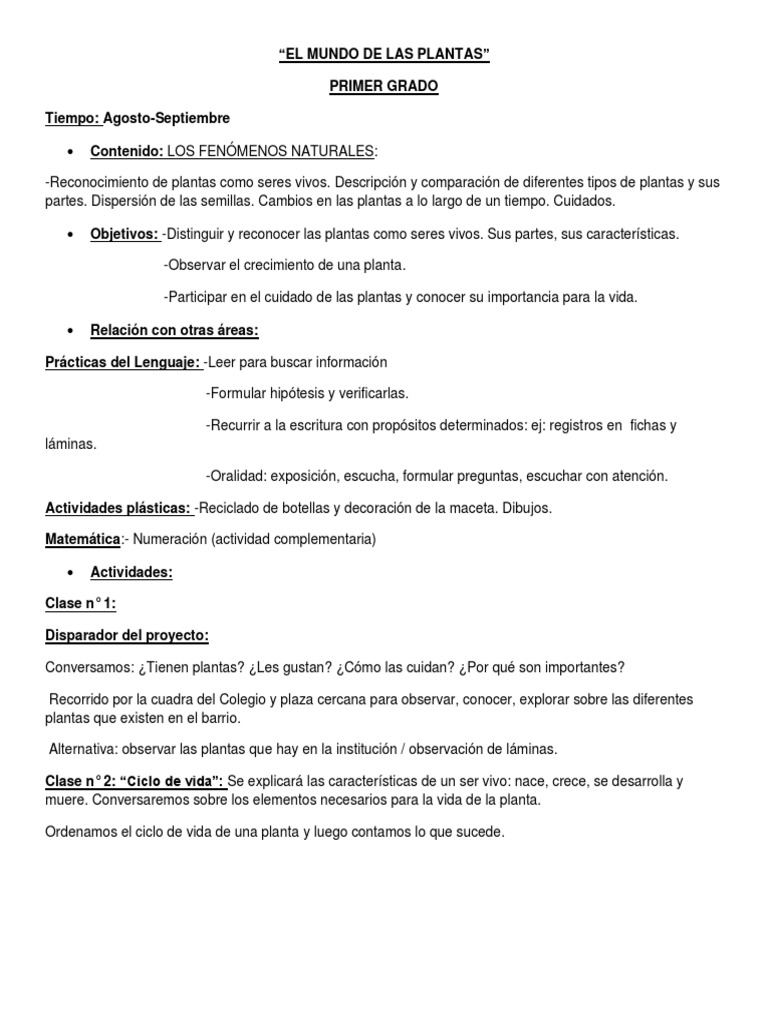 Proyecto El Mundo de Las Plantas PDF | PDF | Plantas | Semilla