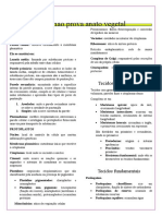 Resumao Da Prova Intermediaria - Dotx