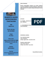 CV - Gilberto Alexis Tantalean