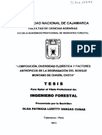 Chota 2013 Chadin C, DF, y Factores PDF