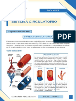 Sistema circulatorio: Esquema y funciones clave