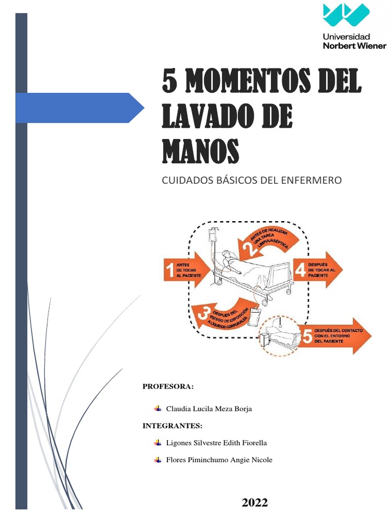 5 Momentos Clave del Lavado de Manos | PDF