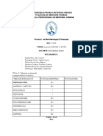 Informe S5 PDF