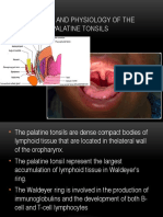 Anatomy and Physiology of The Palatine Tonsils