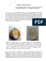 Biología y Fisiología de Semillas - UNAL PDF