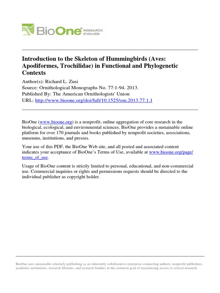 Zusi2013 - Introduction To The Skeleton of Hummingbirds PDF | PDF ...