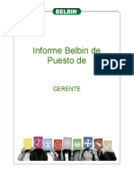 Informe - Belbin de Puesto Ejemplo PDF