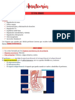 Sistema Renal-Urinario