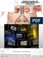 Nefritico Nefrotico KN PDF