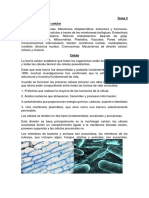 Tema 3 PDF