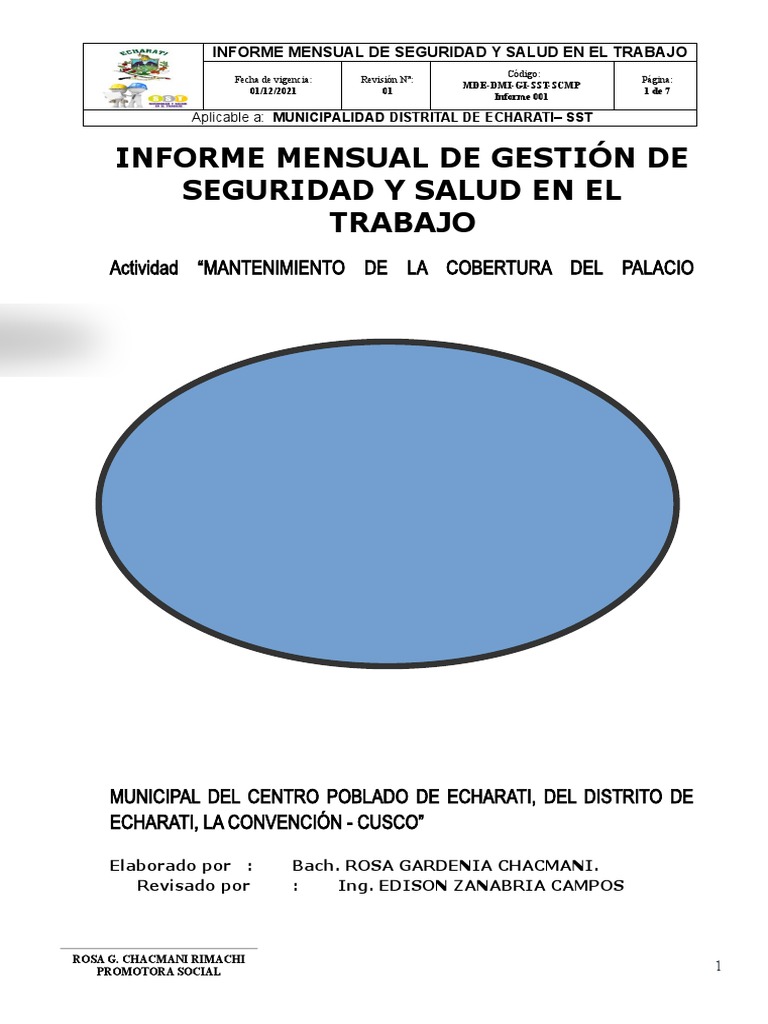INFORME MENSUAL DE SEGURIDAD Y SALUD EN EL TRABAJO Dic Palacio | PDF ...