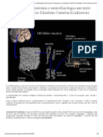 Neuroanatomia e neurofisiologia para educadores