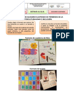 ECA-8vo-Glosario Ilustrado PDF