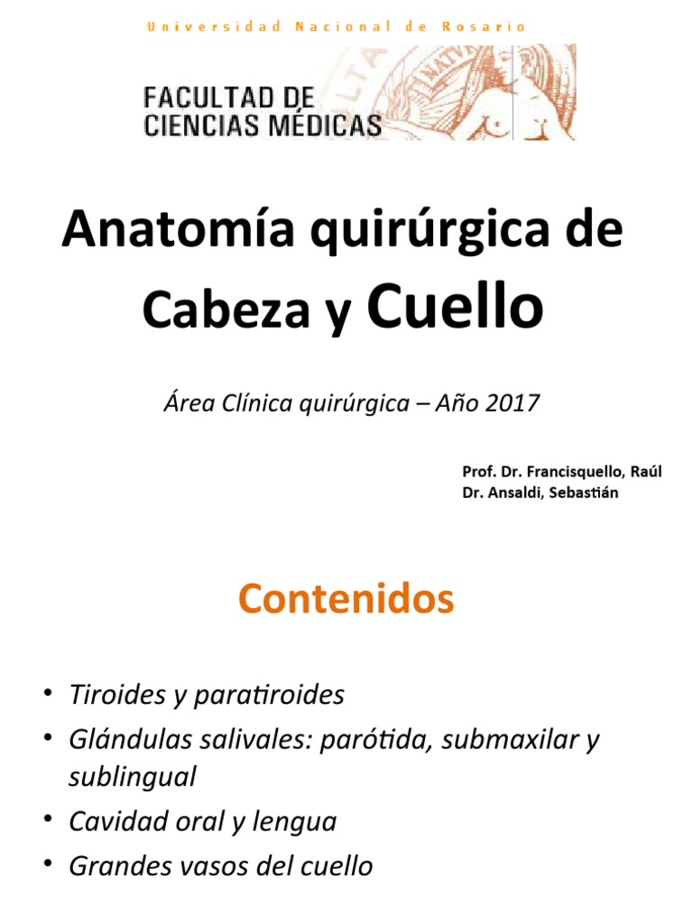 Image Result For Quirurgica