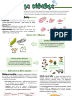 Las Celulas PDF