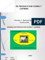 Sistemas de Produccion Ovina y Caprina PDF