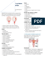 Complicaciones de La Primera Mitad Del Embarazo