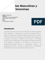 DiegoMartinez. 3D. PPT Gónadas - Testículo y Ovario PDF