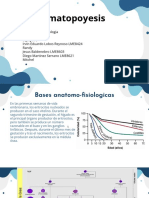 Diego Martinez 3D PPTHematopoyesis PDF