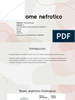 DiegoMartinez. 3D. PPT SX Nefrítico PDF