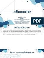 Diego Martinez 3D. PPT Inflamacion PDF