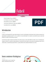 DiegoMartinez 3D. PPT SX Febril PDF