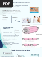 Electrodiagnóstico: NCS y EMG Explicados | PDF | Nervio | Potencial de ...