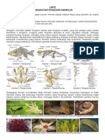 Pengantar Kingdom Animalia PDF
