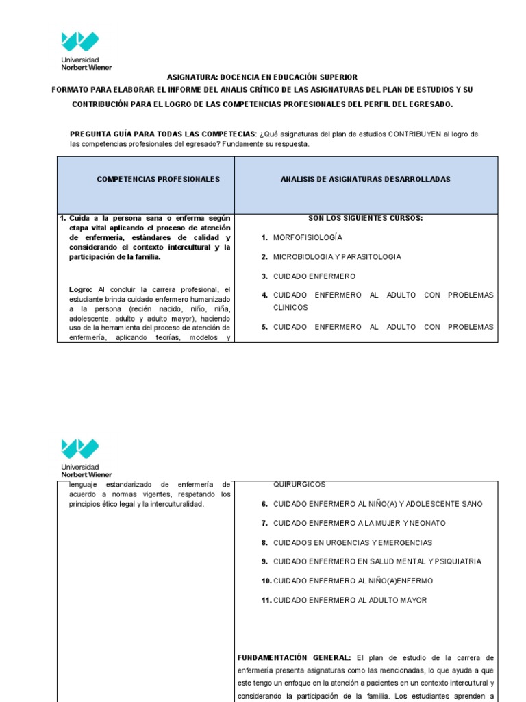 Formato para Elaborar Informe de Analisis Comp. Prof. Del Egresado ...