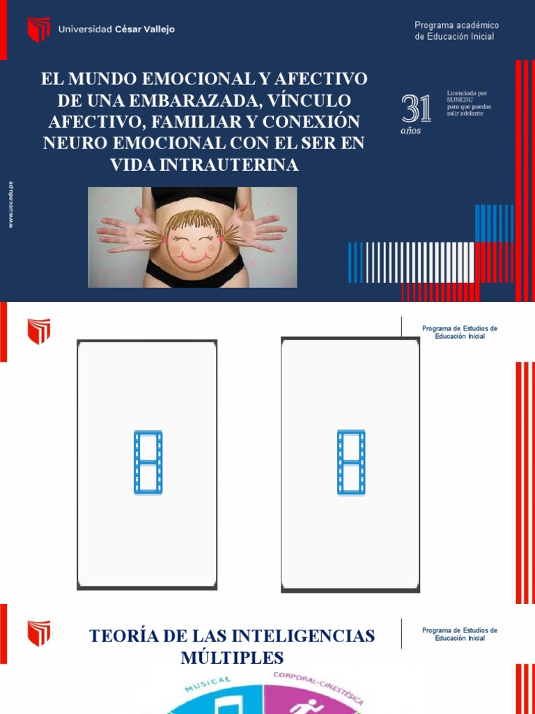 El Mundo Emocional Yafectivo de Una Embarazada, Vínculo Afectivo